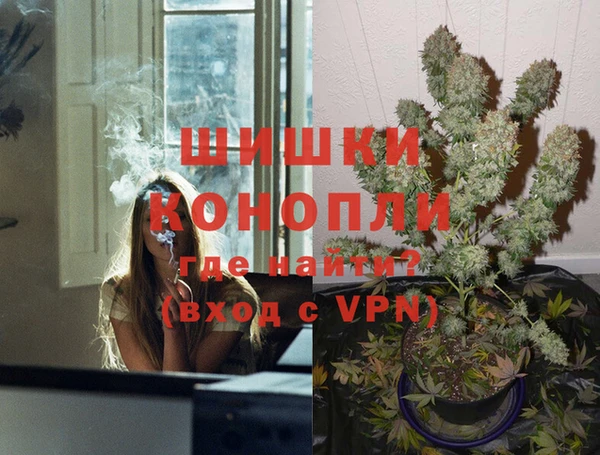 Альфа ПВП Белокуриха