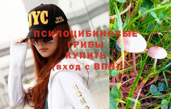 mdpv Белоозёрский