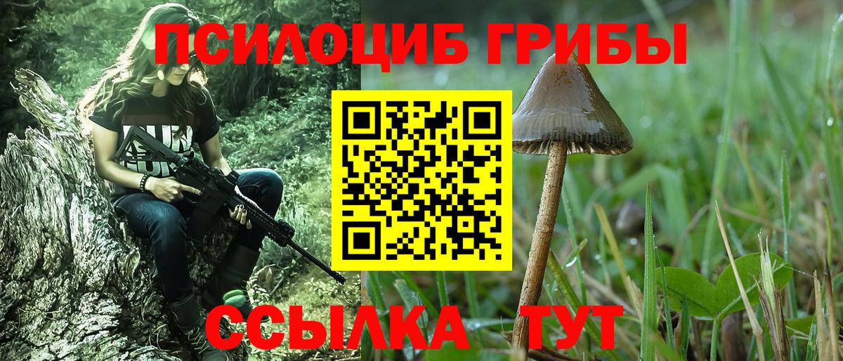 купить закладку  Вход с VPN  Галлюциногенные грибы Psilocybine cubensis  Сердобск  Галлюциногенные грибы Magic Shrooms 